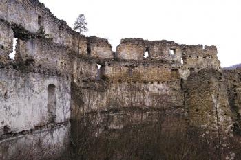 pohled na jihozápadní a západní část hradu se starší gotickou věží ( © Jan P. Štěpánek 02/2008)