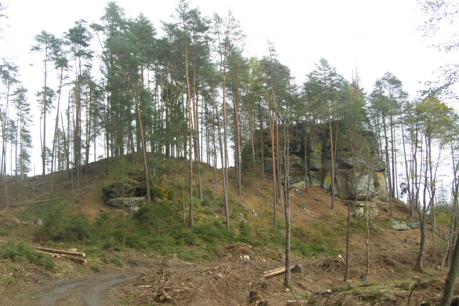 hrad v Dolní Chřibské