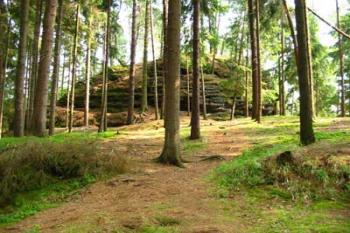 Chřibský hrádek (2003 ©Puffin Puffin)