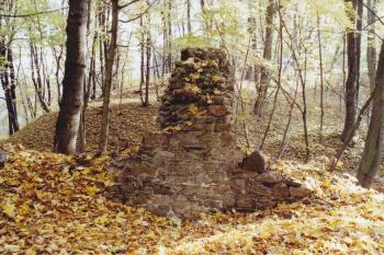 Zbytky zdiva hradu (© Lukáš Pechánek, 10/2006)