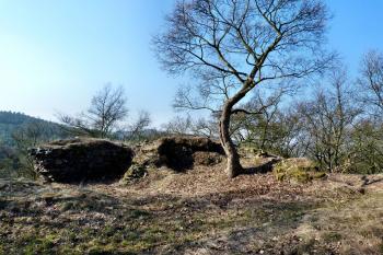  (© František Kinař, 04/2016)