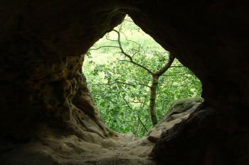 Hřídelík (© Jarka Májová 07/2005)