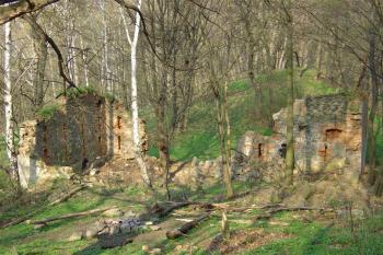 Vrabinec -  ruina domu pod hradem (© Karel Světlík, 01/2010)
