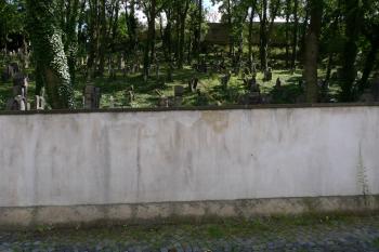  (© Karel Husák, 07/2011)