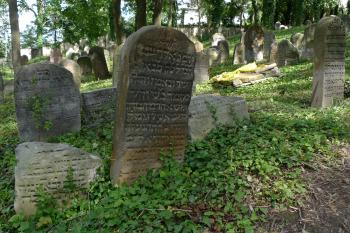  (© Karel Husák, 07/2011)