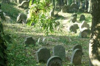 Roudnice - židovský hřbitov (© Hana Kubikova 10/2005)