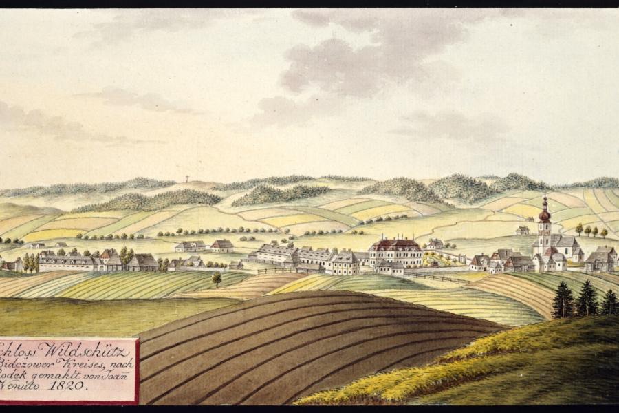 Vlčice