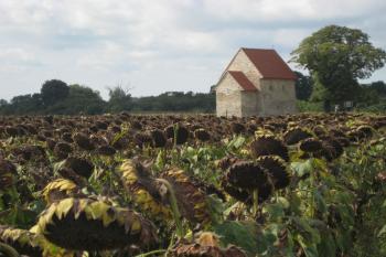  (© Zdeněk Susa, 09/2008)