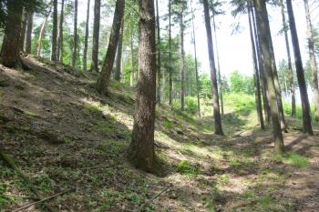 Hrádek u Podmok-zřícenina hradu (© Vlastislav Mareček, 05/2016)