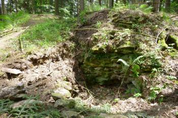 Hrádek u Podmok-zřícenina hradu (© Vlastislav Mareček, 05/2016)