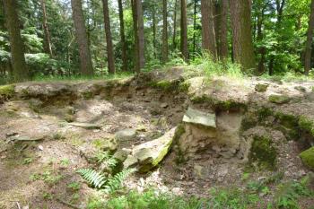 Hrádek u Podmok-zřícenina hradu (© Vlastislav Mareček, 05/2016)