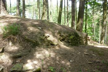 Hrádek u Podmok-zřícenina hradu (© Vlastislav Mareček, 05/2016)