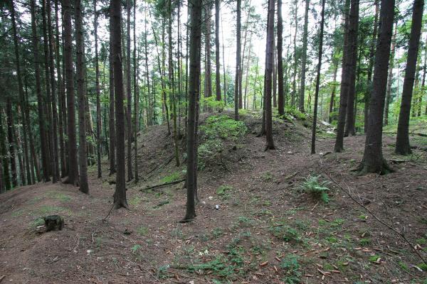 Hrádek u Podmok