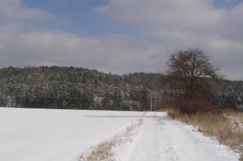  (© Prudký Martin, 03/2007)