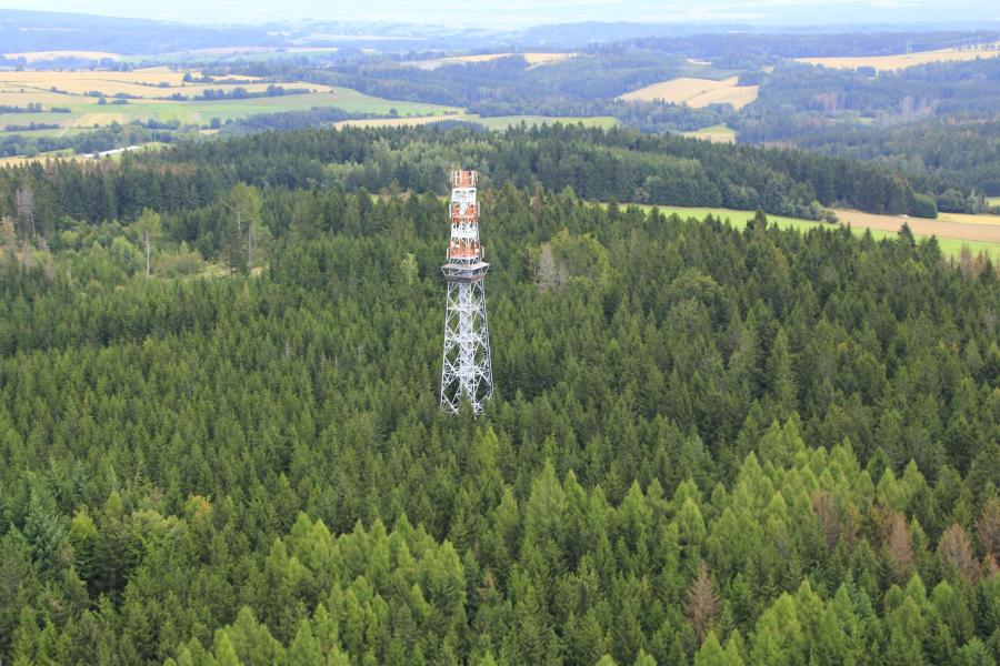 Horní les