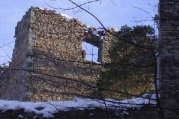  (© Miroslav Šamal, 2/2006)
