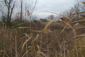 plocha opevnění zřetelně vystupuje nad okolní terén (© ondřej Štěpánek 11/2005)