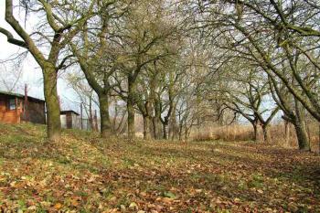 pohled od jihu, na místo pod velitelskou pevnůstkou ve směru: západ-východ ( © Ondřej Štěpánek 12/2005)