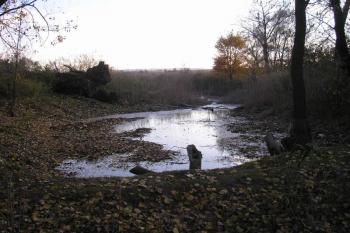 pozůstatek přírodní ochrany tábora-vodní příkop (dodnes často zatopený) alias bývalé slepé rameno Moravy ( © Ondřej Štěpánek 10/2006)