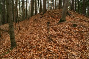 Těleso hradu ( ©Martin Kabeláč 12/2006)