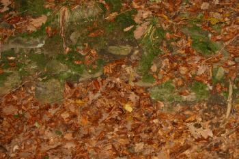 snad jediný zbytek původního zdiva? (© D Dohňanský, 11/2014)