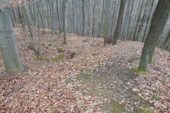 Zaoblení příkopu a valu na jihu (© Dušan Dohňanský 02/2021)
