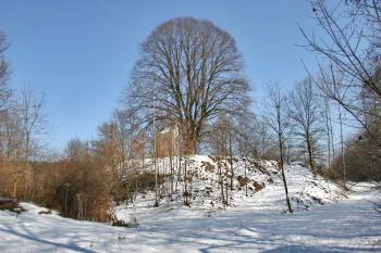 Tvrziště ( © Luděk Pitter 03/2006)