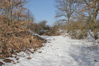 Příkop ( © Luděk Pitter 03/2006)