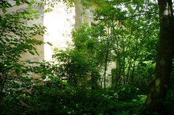 Palác - zadní část, stav 23.05.2009 (© Michal Kutzendorfer, 05/2009)
