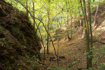 hradní příkop (© Stanislav Drda 10/2005)