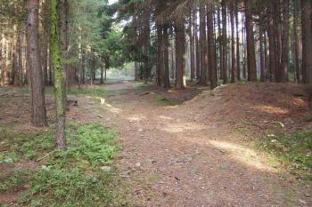 bývalé hradby nyní protíná lesní cesta (© Stanislav Drda 10/2005)