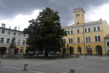 Nám. Míru, radnice, sochy sv.Floriána a sv.Nepomuckého ( © Ivo Rozehnal 07/2018)