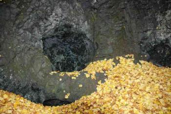Dědek (© Aleš Marek 11/2005)