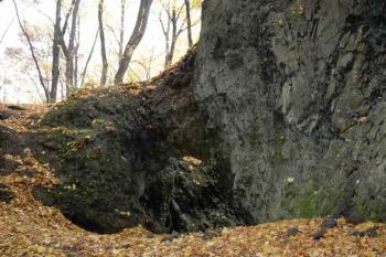 Dědek (© Aleš Marek 11/2005)