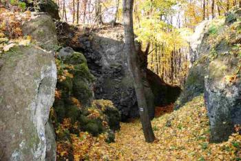  (© Aleš Marek 11/2005)