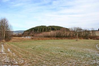 Tvrziště ( © Luděk Pitter 11/2005)