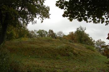  (© Rodochrozit, 10/2011)