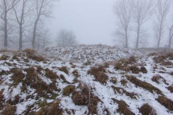 Pohled od jihovýchodu přes val na jádro tvrze ( © Roman Řezáč 12/2005)