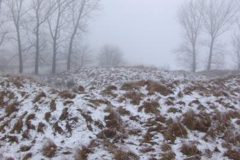 Pohled od jihovýchodu přes val na jádro tvrze ( © Roman Řezáč 12/2005)