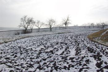 Příkop na východě ( © Roman Řezáč 12/2005)