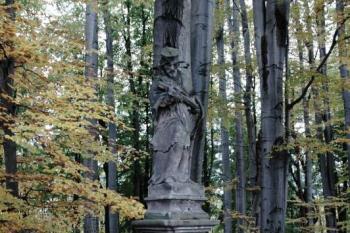  (© Aleš Marek 01/2006)