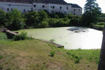 rybník pod zámkem (© D Dohňanský, 07/2014)