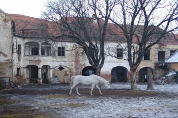 Pohled na severovýchodní budovu zámku, stojící snad na starších základech tvrze ( © Roman Řezáč 12/2005)