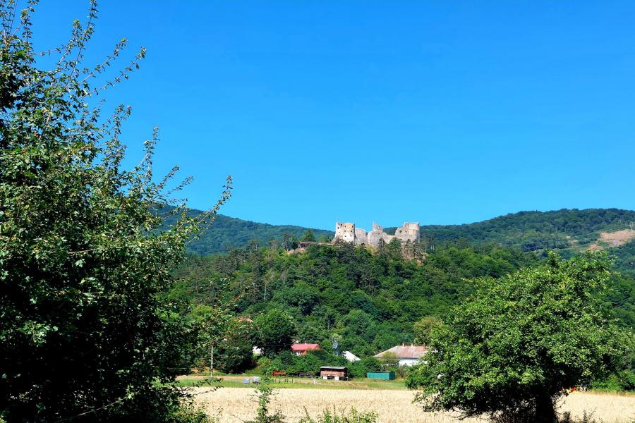 Revište