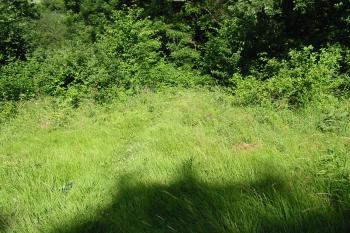 pohled na místo tvrze z přístupové plošiny na jv. (© D Dohňanský, 06/2015)