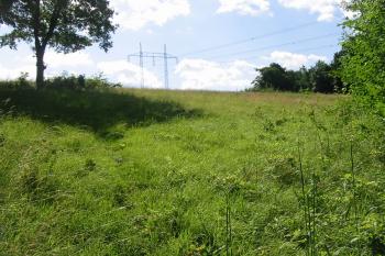 přístupová,zvedajicí se plošina směrem na jv. (© D Dohňanský, 06/2015)