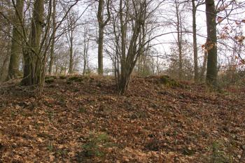 pohled na jádro od západu (© D Dohňanský, 03/2017)