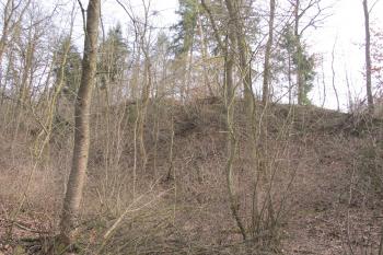 pohled na hradní kopec z úpatí na západě (© D Dohňanský, 03/2017)