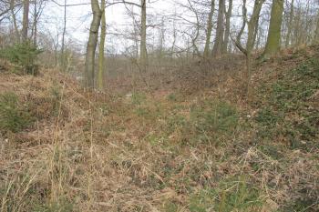 pohled na čelní východní příkop od jihu, jádro je vlevo,vpravo čelní val (© D Dohňanský, 03/2017)