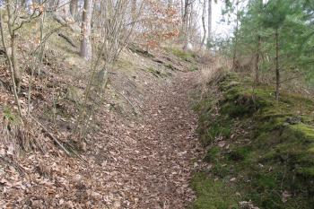 úvozová cesta vedoucí podél jižní strany tvrzištní lokality (© D Dohňanský, 03/2017)
